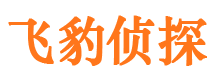 射阳市调查取证